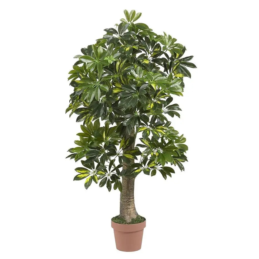4ft. Schefflera Real Touch Silk Tree, Green