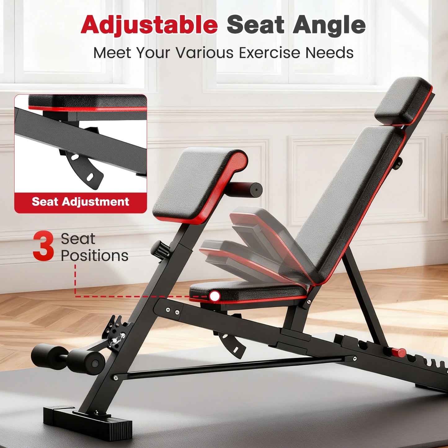 Dumbbell Bench Roman Chair Adjustable Foldable Training Weight Bench Weightlifting Exercise Abdominal Waist Fitness for Home Gym